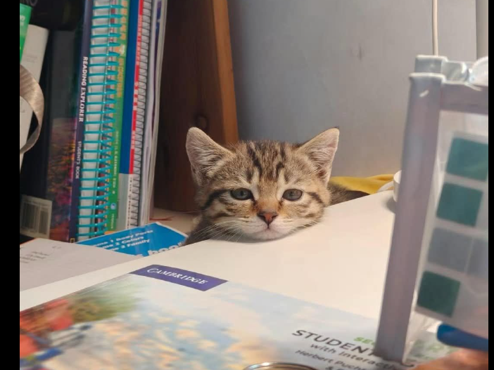 máy tính để bàn